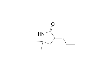 2-Pyrrolidinone, 5,5-dimethyl-3-propylidene-