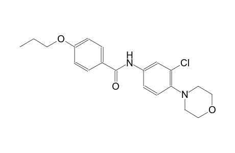 benzamide, N-[3-chloro-4-(4-morpholinyl)phenyl]-4-propoxy-