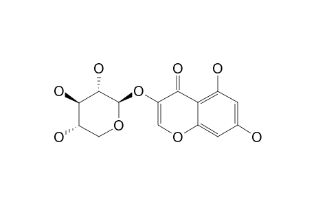 5,7-DIHYDROXY-4-H-CHROMEN-4-ONE-3-O-BETA-D-XYLOPYRANOSIDE
