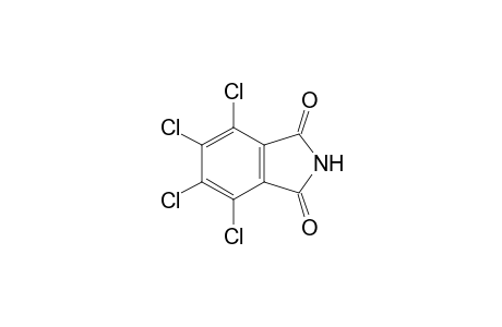 3,4,5,6-Tetrachlorophthalimide