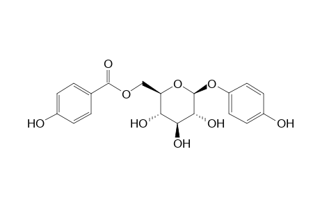 [(2R,3S,4S,5R,6S)-3,4,5-trihydroxy-6-(4-hydroxyphenoxy)oxan-2-yl]methyl 4-hydroxybenzoate