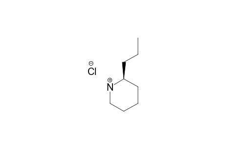 (2S)-2-N-PROPYLPIPERIDINE-HYDROCHLORIDE;CONIINE-HYDROCHLORIDE
