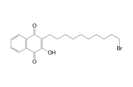 2-(10-Bromodecyl)-3-hydroxynaphthalene-1,4-dione