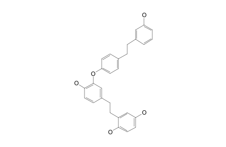 14'-Hydroxyperrottetin E