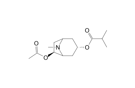 Propanoic acid, 2-methyl-, 6-(acetyloxy)-8-methyl-8-azabicyclo[3.2.1]oct-3-yl ester, (3-endo,6-exo)-(.+-.)-