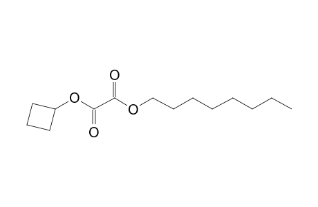 Oxalic acid, cyclobutyl octyl ester