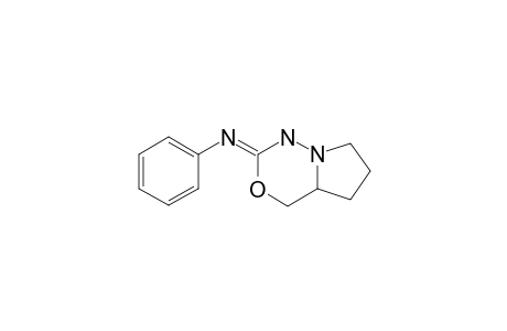 2-PHENYLAMINOPERHYDROPYRROLO-[1,2-D]-[1,3,4]-OXADIAZINE