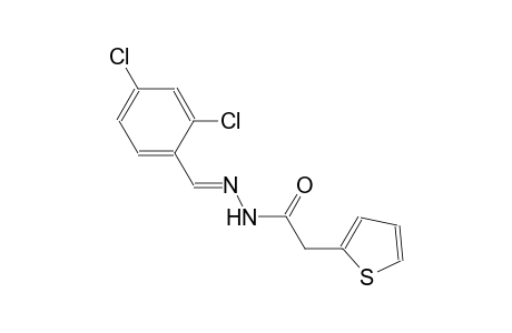N'-[(E)-(2,4-dichlorophenyl)methylidene]-2-(2-thienyl)acetohydrazide