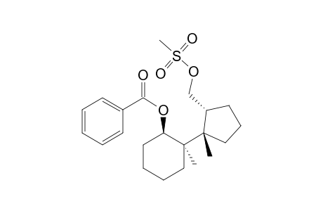 (1.beta.)-2.alpha.-Methyl-2.beta.-(1.beta.-methyl-2.alpha.-methylsulfonyloxymethylcyclopenty)cyclohexyl benzoate