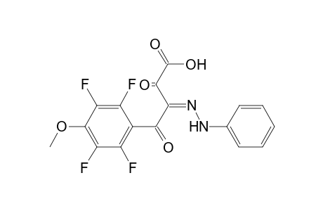 2,4-Dioxo-3-(phenyl-hydrazono)-4-(2,3,5,6-tetrafluoro-4-methoxy-phenyl)-butyric acid