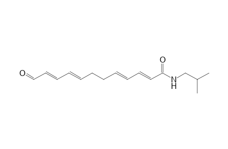 N-(2'-Methylpropyl)-12-oxododeca-2,4,8,10-tetraenamide