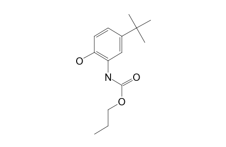 2-Amino-4-tert-butylphenol, N-(N-propyloxycarbonyl)-