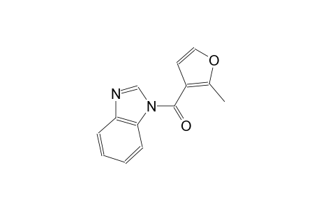1-(2-methyl-3-furoyl)-1H-benzimidazole