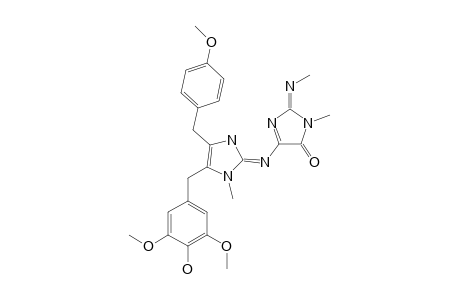 NAAMIDINE_I