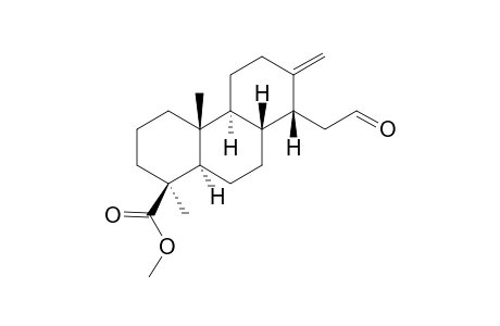 (1S,4aR,4bS,8R,8aS,10aR)-1,4a-dimethyl-7-methylene-8-(2-oxoethyl)-3,4,4b,5,6,8,8a,9,10,10a-decahydro-2H-phenanthrene-1-carboxylic acid methyl ester