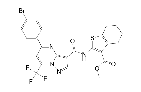 methyl 2-({[5-(4-bromophenyl)-7-(trifluoromethyl)pyrazolo[1,5-a]pyrimidin-3-yl]carbonyl}amino)-4,5,6,7-tetrahydro-1-benzothiophene-3-carboxylate