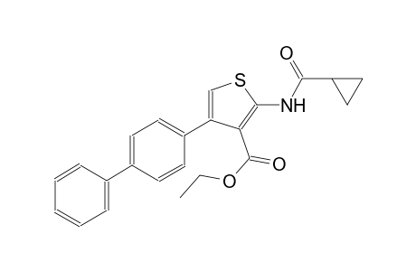 ethyl 4-[1,1'-biphenyl]-4-yl-2-[(cyclopropylcarbonyl)amino]-3-thiophenecarboxylate