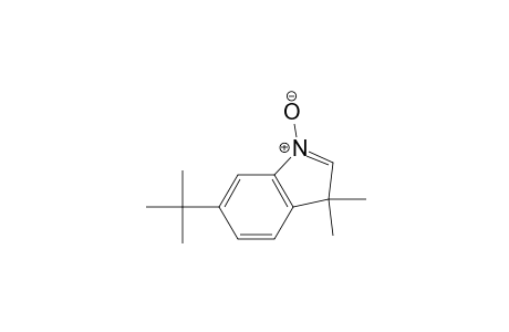 3H-Indole, 6-(1,1-dimethylethyl)-3,3-dimethyl-, 1-oxide