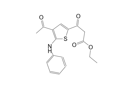 ethyl 3-(4-acetyl-5-anilino-2-thienyl)-3-oxopropanoate