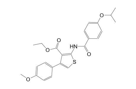 ethyl 2-[(4-isopropoxybenzoyl)amino]-4-(4-methoxyphenyl)-3-thiophenecarboxylate
