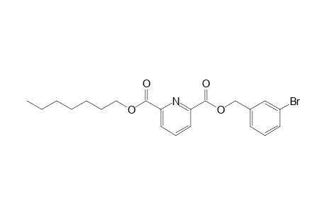 2,6-Pyridinedicarboxylic acid, 3-bromobenzyl heptyl ester