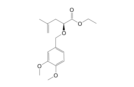(S)-2-(3,4-Dimethoxy-benzyloxy)-4-methyl-pent-4-enoic acid ethyl ester