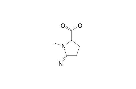 PYROSTATIN-B;2-IMINO-1-METHYLPYRROLIDINE-5-CARBOXYLIC-ACID