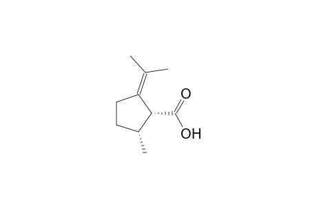(1R,2R)-2-Methyl-5-(propan-2-ylidene)cyclopentanecarboxylic Acid