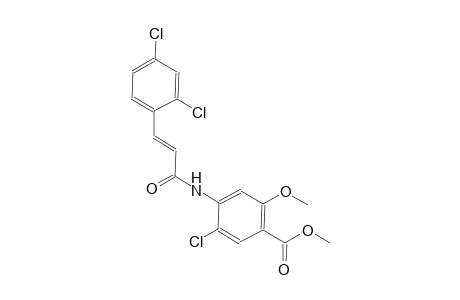 benzoic acid, 5-chloro-4-[[(2E)-3-(2,4-dichlorophenyl)-1-oxo-2-propenyl]amino]-2-methoxy-, methyl ester