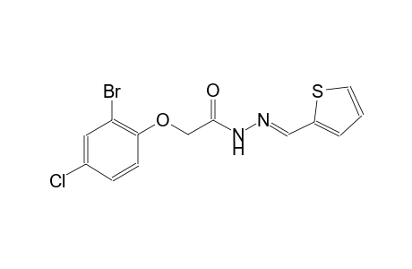 2-(2-bromo-4-chlorophenoxy)-N'-[(E)-2-thienylmethylidene]acetohydrazide
