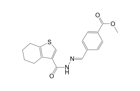 methyl 4-{(E)-[(4,5,6,7-tetrahydro-1-benzothien-3-ylcarbonyl)hydrazono]methyl}benzoate