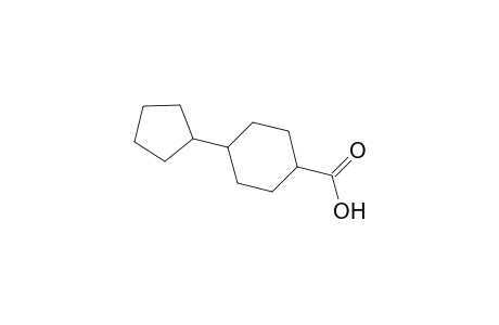 4-cyclopentylcyclohexanecarboxylic acid