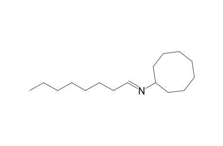 N-Cyclooctyl-octylideneamine