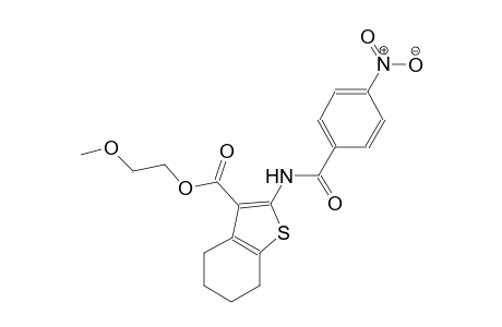 2-methoxyethyl 2-[(4-nitrobenzoyl)amino]-4,5,6,7-tetrahydro-1-benzothiophene-3-carboxylate