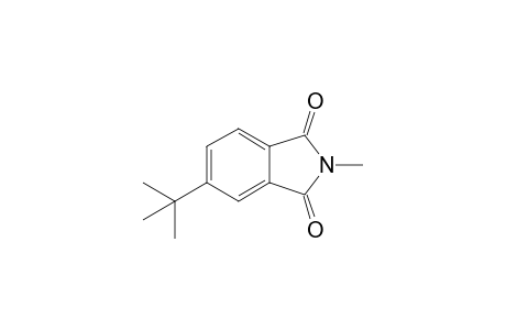 4-(1',1'-Dimethylethyl)-N-methylphthalimide