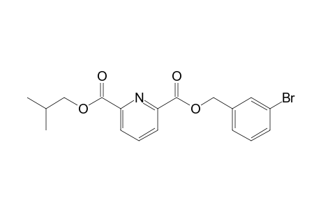 2,6-Pyridinedicarboxylic acid, 3-bromobenzyl isobutyl ester