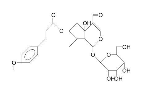 7-O-(P-Methoxy-cinnamoyl)-recomoside