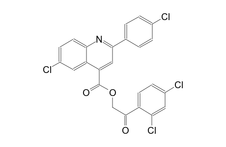 2-(2,4-dichlorophenyl)-2-oxoethyl 6-chloro-2-(4-chlorophenyl)-4-quinolinecarboxylate