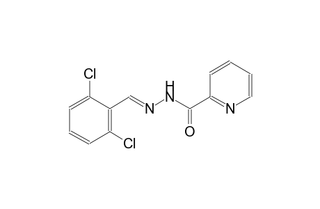 2-pyridinecarboxylic acid, 2-[(E)-(2,6-dichlorophenyl)methylidene]hydrazide