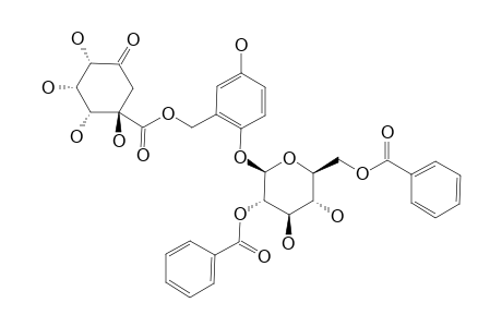 FLACOURTOSIDE_D