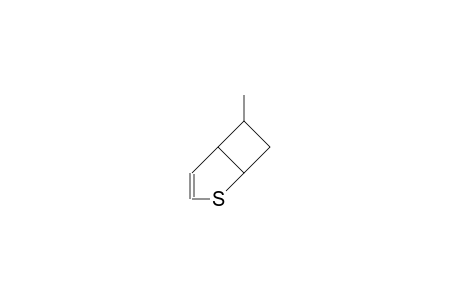 5-endo-Methyl-2-thia-bicyclo(3.2.0)heptene-3