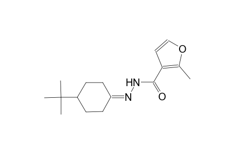 N'-(4-tert-butylcyclohexylidene)-2-methyl-3-furohydrazide