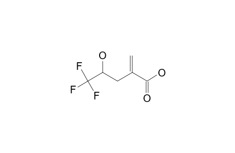 4-HYDROXY-2-METHYLENE-5,5,5-TRIFLUOROPENTANOIC_ACID
