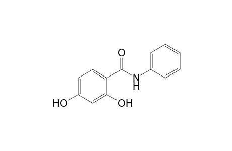 2,4-Dihydroxy-N-phenylbenzamide