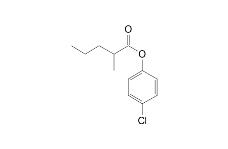 2-Methylvaleric acid, 4-chlorophenyl ester