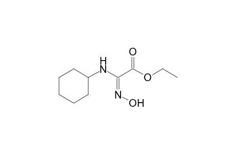 2-cyclohexylimino-2-(hydroxyamino)acetic acid ethyl ester