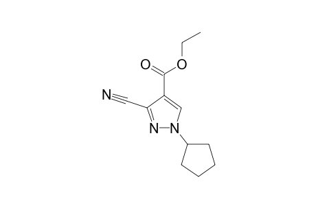 3-cyano-1-cyclopentyl-pyrazole-4-carboxylic acid ethyl ester