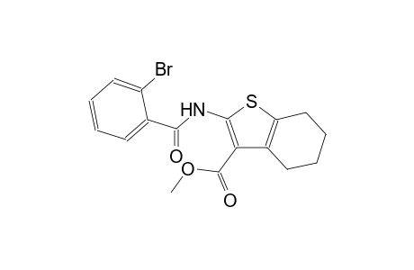 methyl 2-[(2-bromobenzoyl)amino]-4,5,6,7-tetrahydro-1-benzothiophene-3-carboxylate