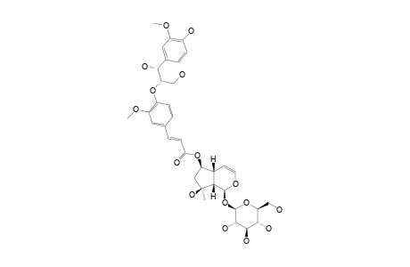 THREO-6-OXO-4'-(3-METHOXYL-4-HYDROXYPHENYLGLYCOL-8'')-FERULOYL-AJUGOL