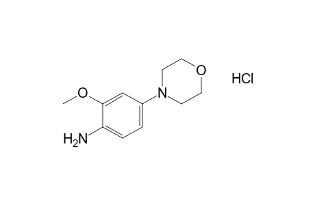4-(4-amino-3-methoxyphenyl)morpholine, hydrochloride